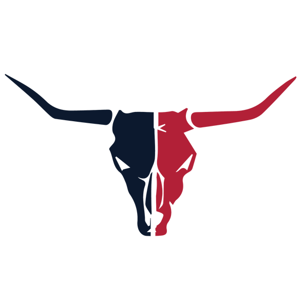 Houston Texans Heavy Metal Logo DIY iron on transfer (heat transfer)